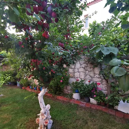 Villa Alaçatı macrocentır arkası